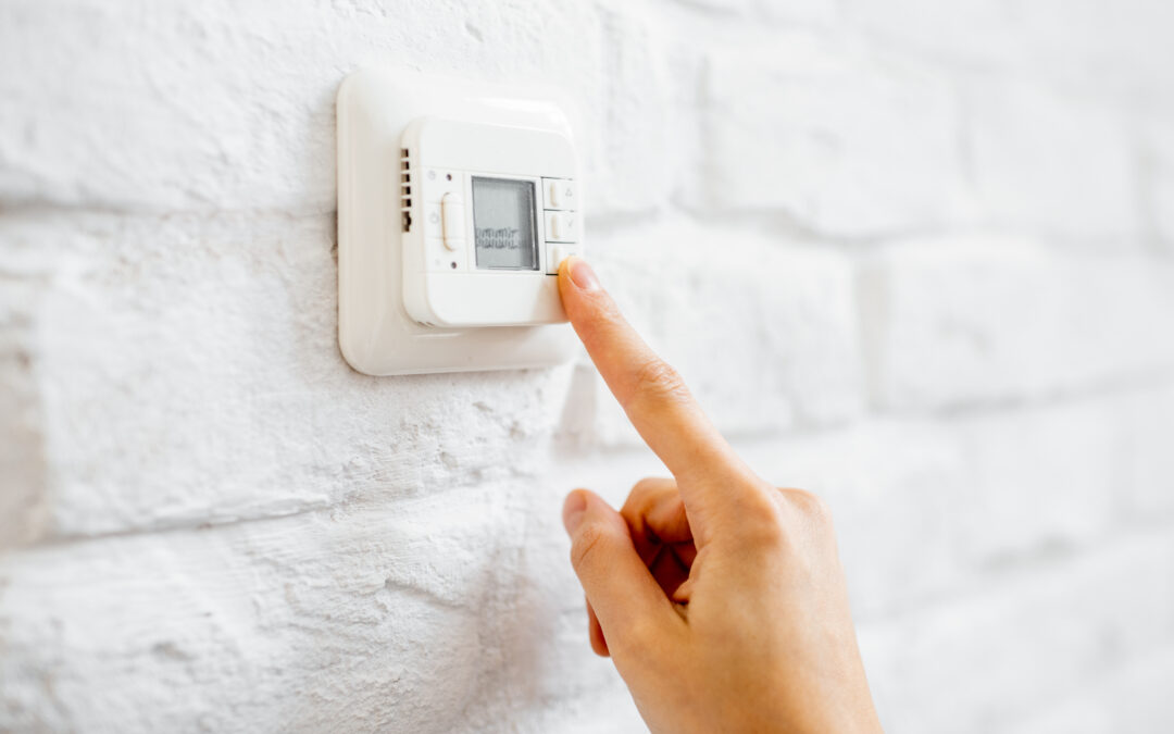 The Great Temperature Debate